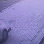 Vicdansız sürücü yavru kediyi ezip kaçtı