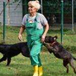 Yalısını sattı, 85 köpeği için villa satın aldı