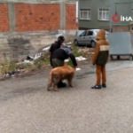 Yaşları küçük yürekleri büyük 3 minik