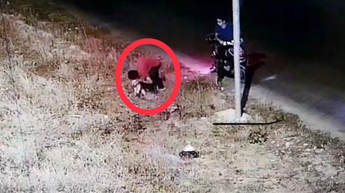 Yavru köpeği kafasından öpüp ölüme terk ettiler! 8 aylık hamile kadın, yeni ailesi oldu