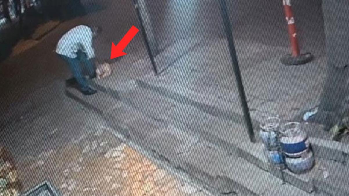 Yerde gördüğü parayı ekmek poşetiyle çalan hırsız bir şeyi hesap edemedi: İkinci kamerayı