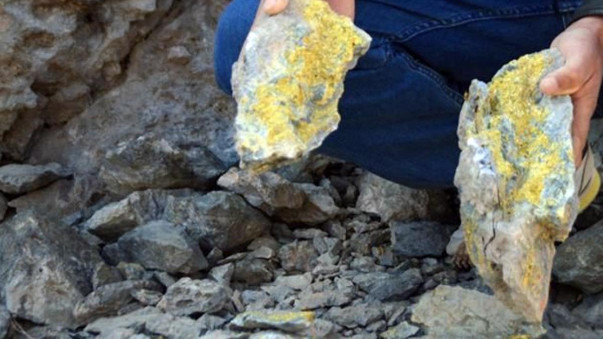 Yılda 15 ton altın çıkarmak için çalışmalar devam ediyor